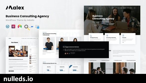 Malex - Business Consulting Agency WordPress Theme