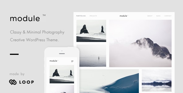 Module – A Minimalist Photography WordPress Theme