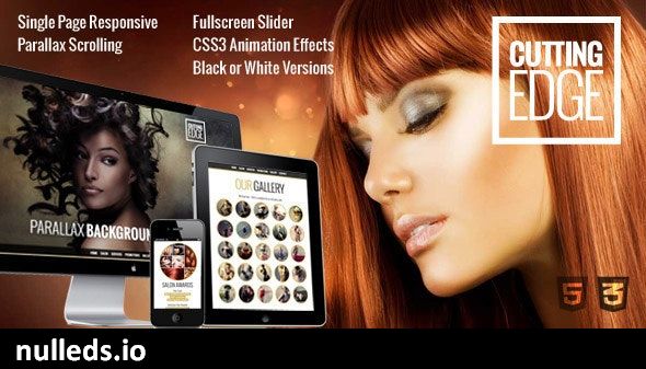 Cutting Edge Responsive Parallax WordPress Theme