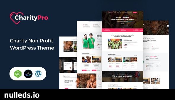 Charity Pro - Fundraising WordPress Theme