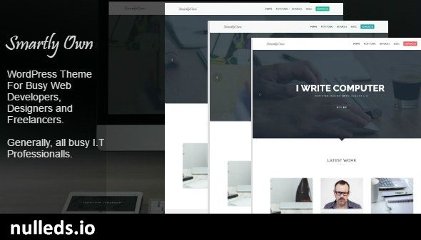 Smartly Own - WordPress Theme For I.T Professionals