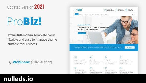 Probiz - An Easy to Use and Multipurpose Business and Corporate WordPress Theme