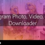 Instagram Image-Video and Story Downloader