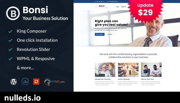 Bonsi - Business Consulting WordPress Theme