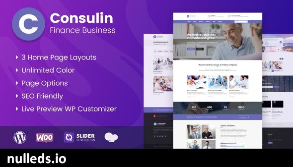 Consulin - Consultant Finance WordPress Theme