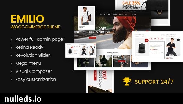 Emilio - Multipurpose Premium Responsive WordPress Theme