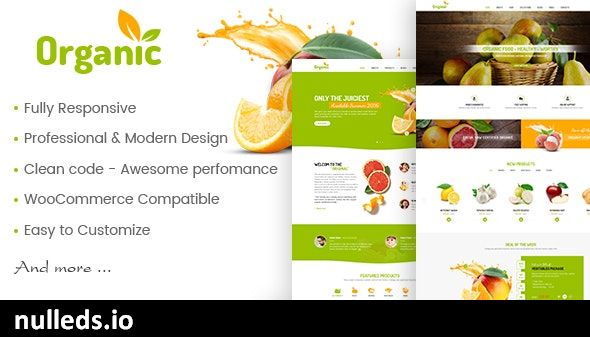 AmyOrganic - Organic and Healthy Theme for WordPress