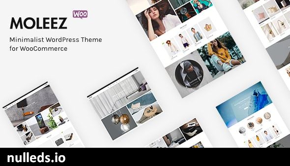 Moleez - Minimalist WordPress Theme for WooCommerce