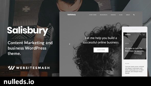 Salisbury - Content Marketing & Business WordPress Theme