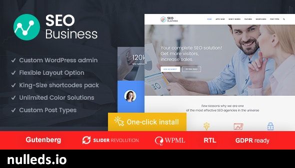 SEO Business - SEO, Social Media and Marketing WordPress Theme