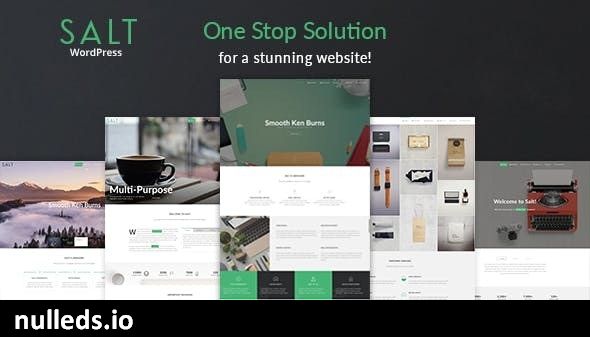 Salt | Responsive Multi-Purpose WordPress Theme