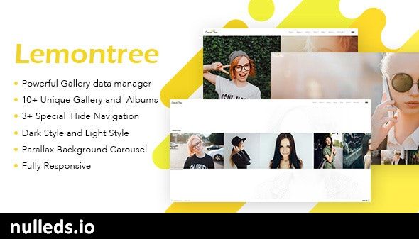 Lemontree - Photography & Portfolio WordPress Theme