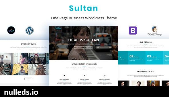 Sultan - One Page Business WordPress Theme