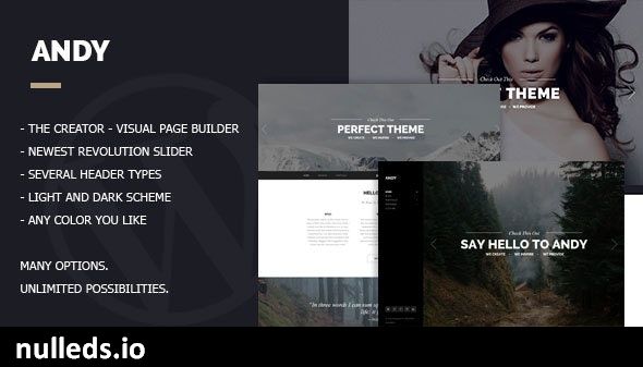 Andy - Multi/One-Page Minimal Parallax Theme