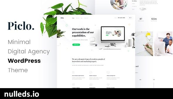 Piclo - Digital Agency WordPress Theme