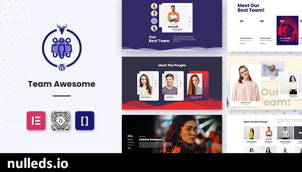 Team Awesome Pro - Team Member Showcase WordPress Plugin