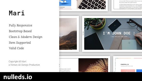 Mari - Responsive Resume / CV / vCard WordPress Theme