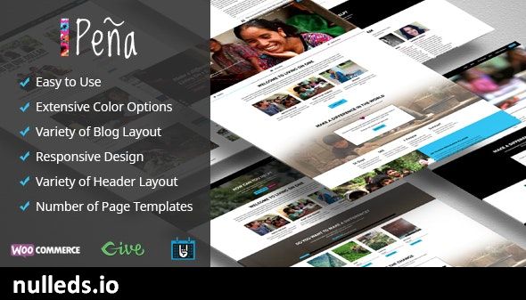 Pena - Charity/Non-Profit WordPress Theme