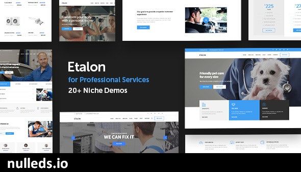 Etalon - Multi-Concept Theme for Professional Services