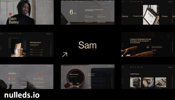 Sam Bailey - Personal CV/Resume WordPress Theme