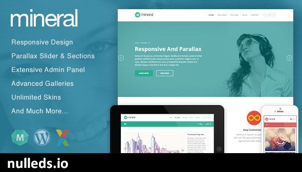 Mineral - Responsive Multi-Purpose WordPress Theme