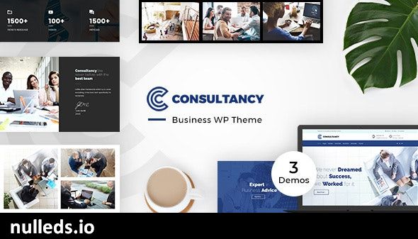 Consultancy Business