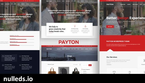 Payton - Business Creative WordPress Multipurpose Theme