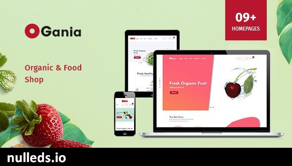 Ogania - Organic & Food WooCommerce WordPress Theme