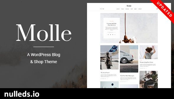 Molle - A Responsive Blog & Shop WordPress Theme