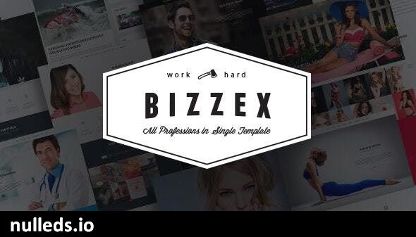 Bizzex - Modern Flat Portfolio Theme