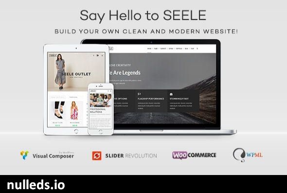 Seele - Clean Multi-Purpose WordPress Theme