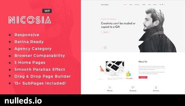 Nicosia - Online Marketing Agency WordPress Theme