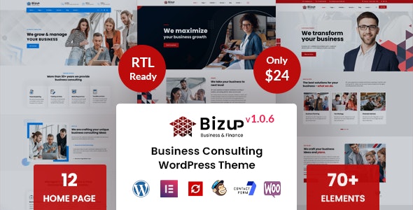 v2.1.1 Bizup - Business Consulting WordPress Theme