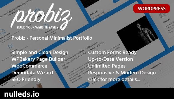 Probiz - Profesyonel WordPress Theme