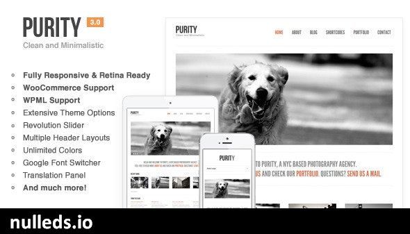 Purity: Responsive, Minimal & Bold WP Theme