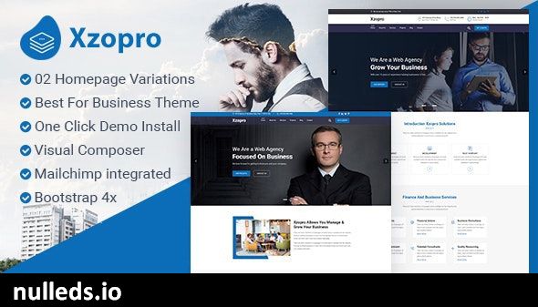 Xzopro - Finance And Business WordPress Theme