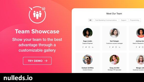 Team Showcase - WordPress plugin