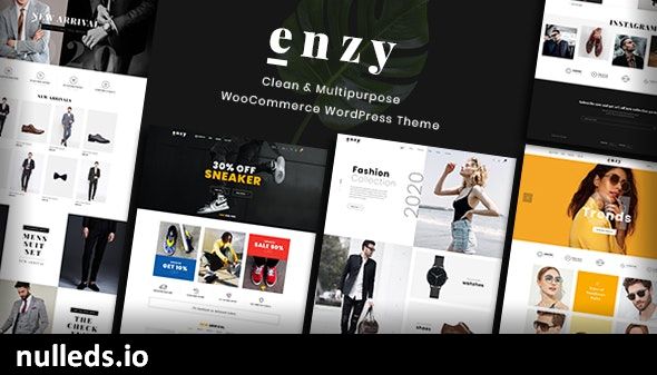 Enzy - Multipurpose WooCommerce WordPress Theme