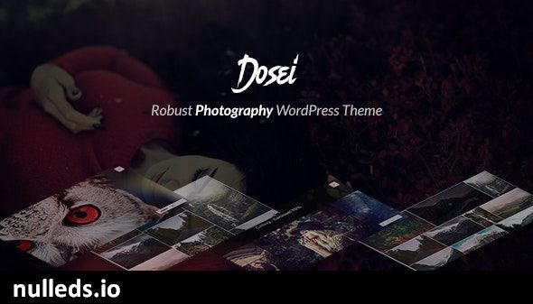 Dosei - Robust WP Theme for Photographers and Galleries