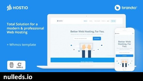 Hostio Web Hosting & WHMCS WordPress Theme