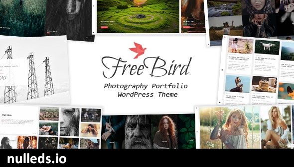 FreeBird - Photography Portfolio WordPress Theme