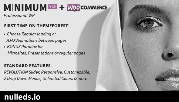 MINIMUM - Professional WordPress Theme