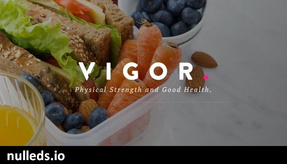 Vigor - A Responsive News Magazine Blog WordPress Theme