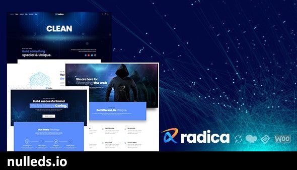 Radica - Creative MultiPurpose WordPress Theme