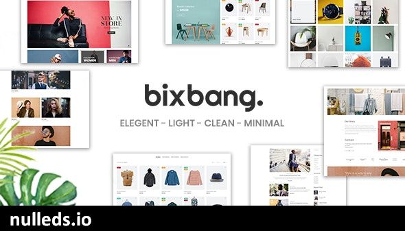 Bixbang - Minimalist eCommerce WordPress Theme for WooCommerce