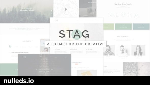 Stag - Portfolio Theme for Freelancers and Agencies