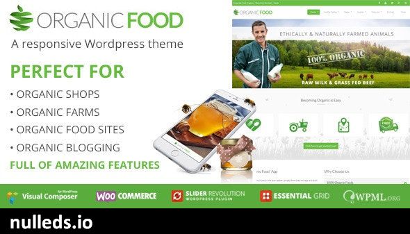 OrganicFood | Responsive WordPress Theme