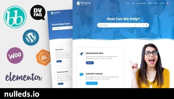 Tessera - Knowledge Base & Support Forum WordPress Theme