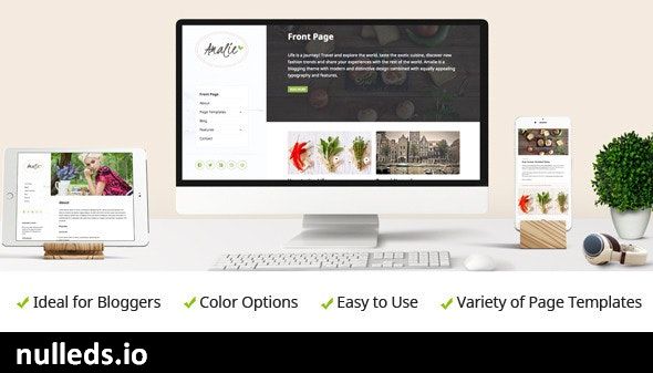 Amalie - Modern Blogging WordPress Theme