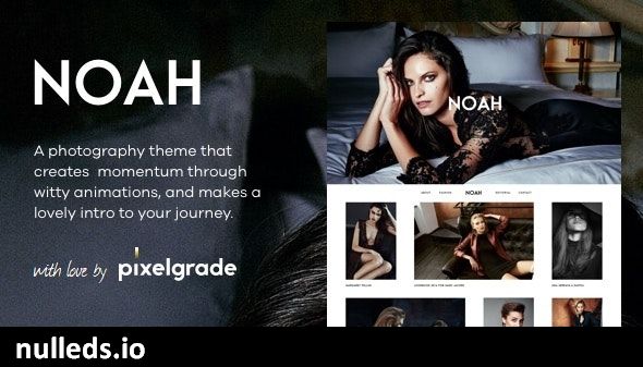 NOAH - A Witty Photography WordPress Theme